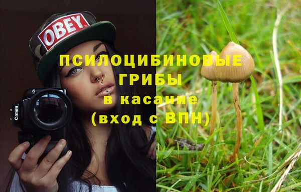 MESCALINE Заволжье